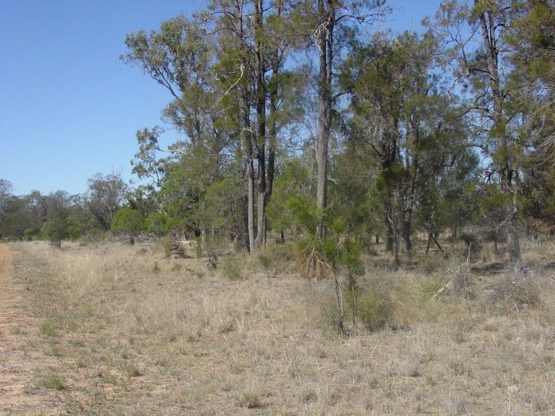 Goondiwindi QLD 4390