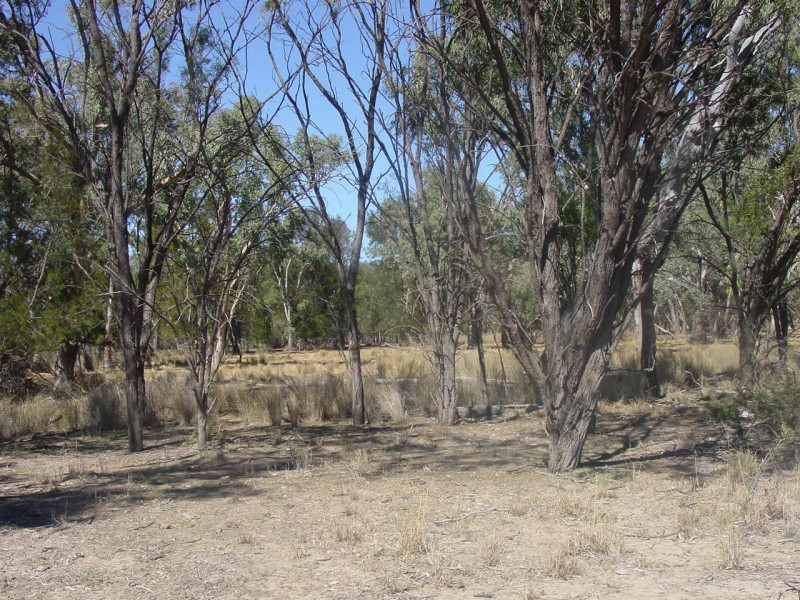 Goondiwindi QLD 4390