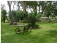 3449 Texas – Yelarbon Road, Beebo QLD 4385