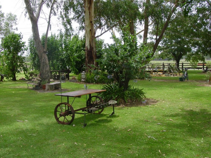3449 Texas – Yelarbon Road, Beebo QLD 4385