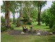 3449 Texas – Yelarbon Road, Beebo QLD 4385