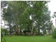 3449 Texas – Yelarbon Road, Beebo QLD 4385
