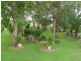 3449 Texas – Yelarbon Road, Beebo QLD 4385