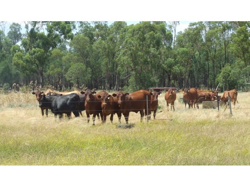 2151 Tenomby Road, Wondalli QLD 4390