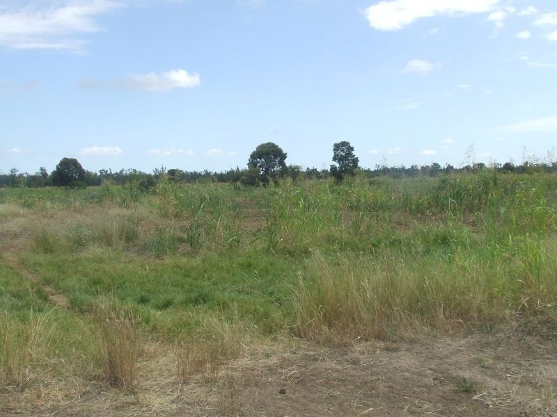 2151 Tenomby Road, Wondalli QLD 4390