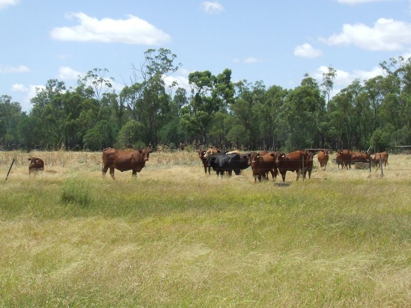 2151 Tenomby Road, Wondalli QLD 4390