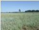 1553 Wyaga Road, Wondalli QLD 4390