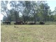 1553 Wyaga Road, Wondalli QLD 4390
