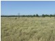 1553 Wyaga Road, Wondalli QLD 4390