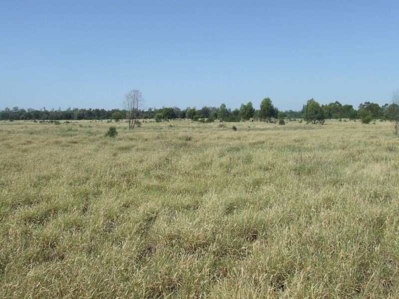 1553 Wyaga Road, Wondalli QLD 4390