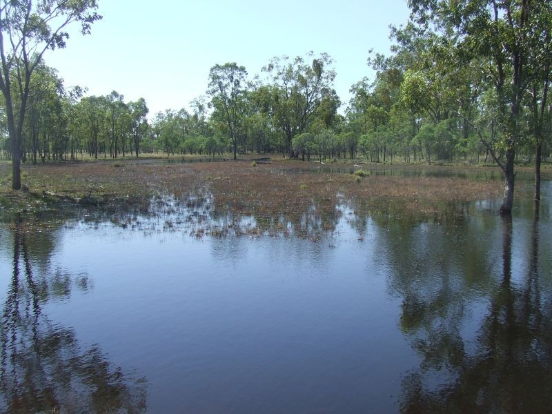 1553 Wyaga Road, Wondalli QLD 4390