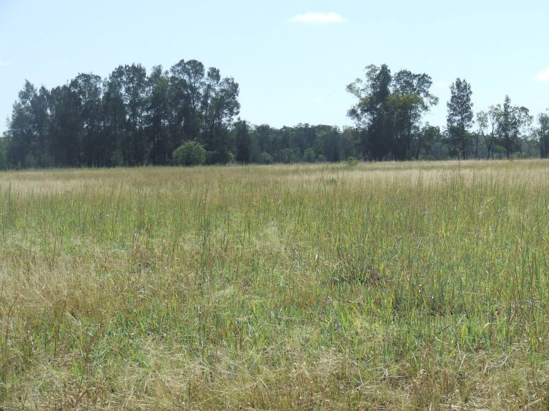 1553 Wyaga Road, Wondalli QLD 4390