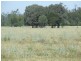 1553 Wyaga Road, Wondalli QLD 4390