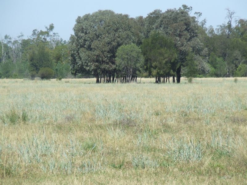 1553 Wyaga Road, Wondalli QLD 4390