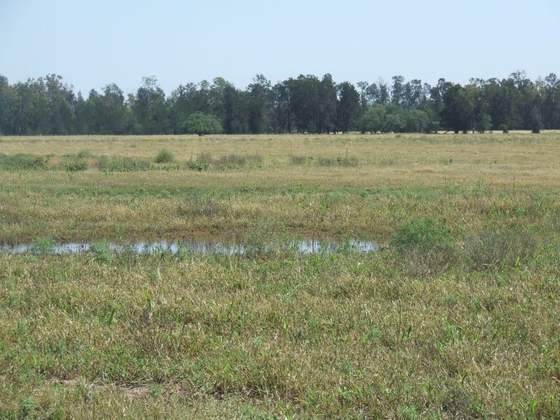 1553 Wyaga Road, Wondalli QLD 4390