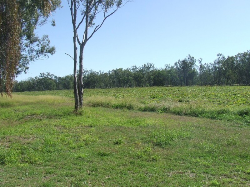 5376 Texas-Yelarbon Road, Glenarbon QLD 4385