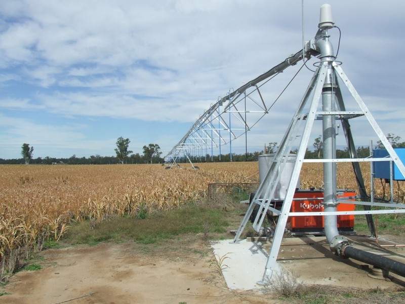 5376 Texas-Yelarbon Road, Glenarbon QLD 4385