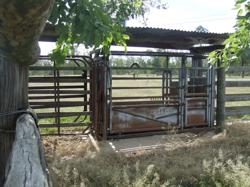 5376 Texas-Yelarbon Road, Glenarbon QLD 4385