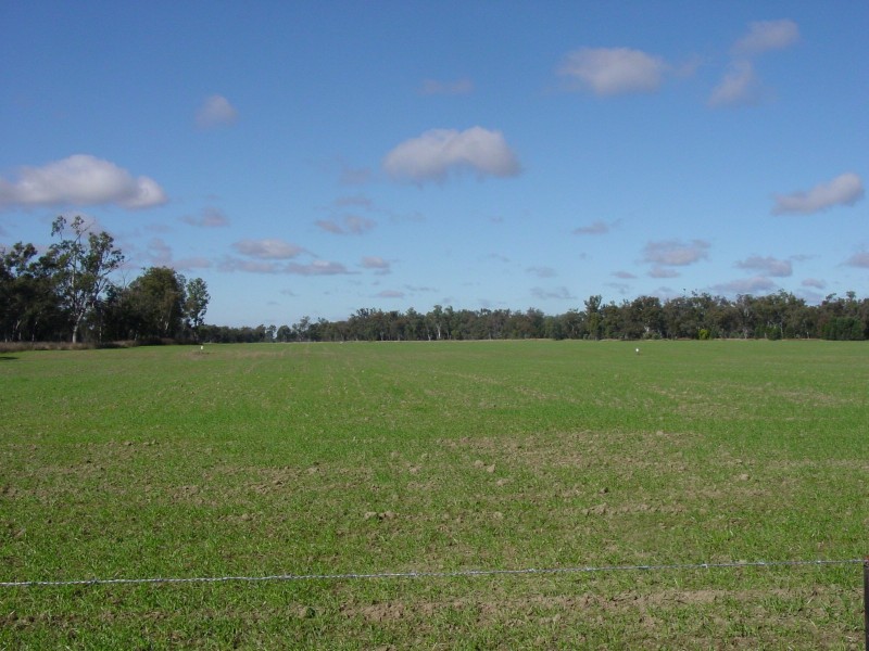. Texas – Yelarbon Road, Yelarbon QLD 4388