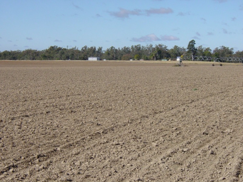 . Texas – Yelarbon Road, Yelarbon QLD 4388