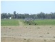 . Texas – Yelarbon Road, Yelarbon QLD 4388