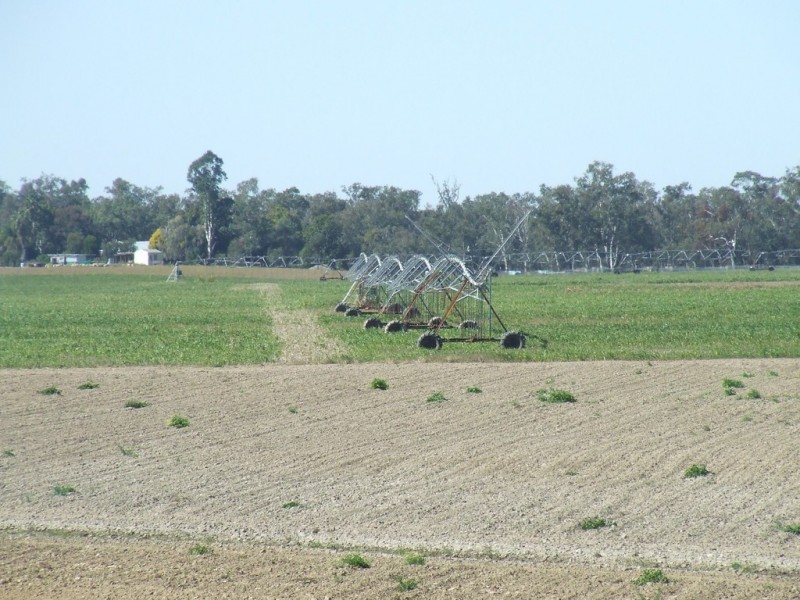 . Texas – Yelarbon Road, Yelarbon QLD 4388