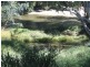 . Texas – Yelarbon Road, Yelarbon QLD 4388