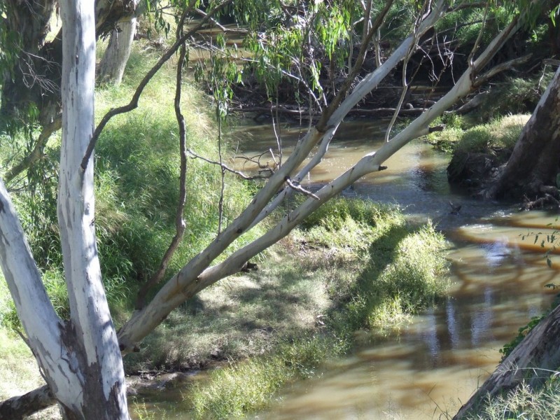 . Texas – Yelarbon Road, Yelarbon QLD 4388