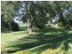 . Texas – Yelarbon Road, Yelarbon QLD 4388