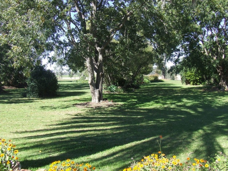 . Texas – Yelarbon Road, Yelarbon QLD 4388