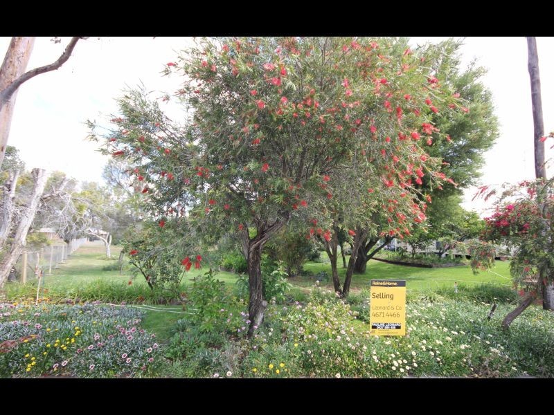 Goondiwindi QLD 4390