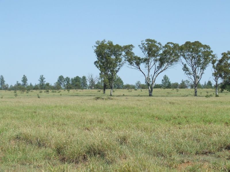 Dirranbandi QLD 4486