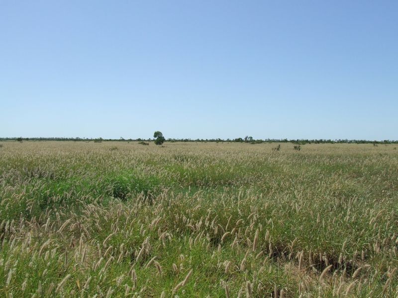 Dirranbandi QLD 4486