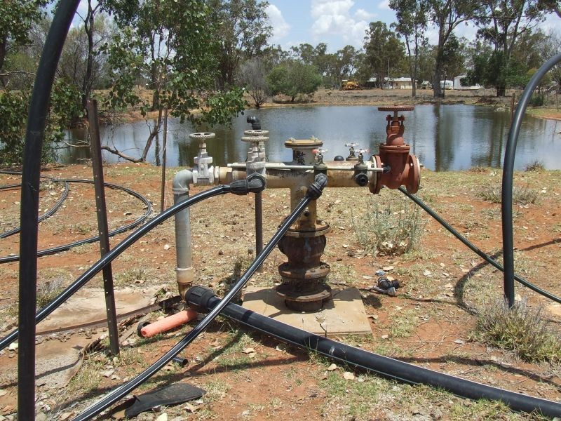 Dirranbandi QLD 4486