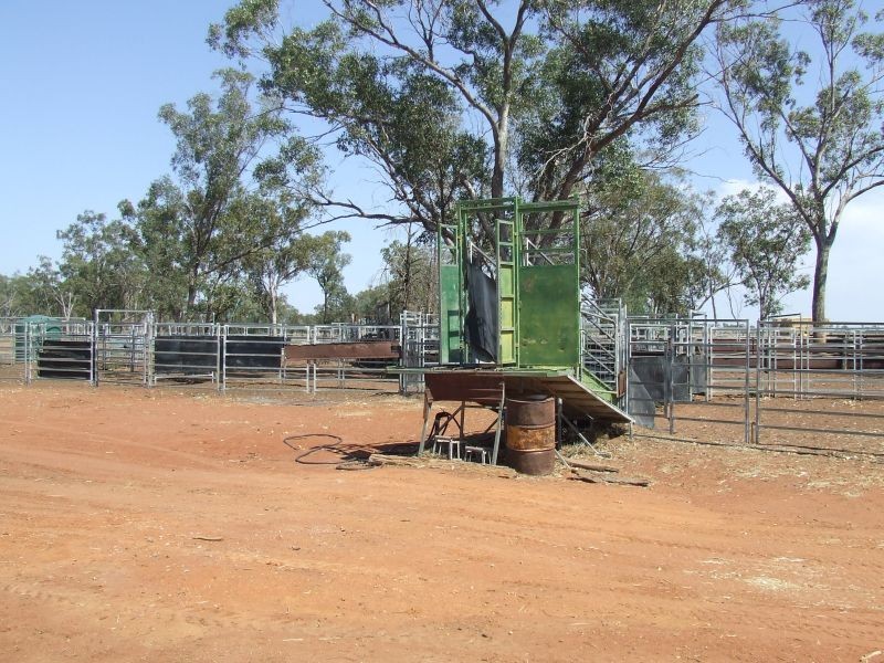 Dirranbandi QLD 4486