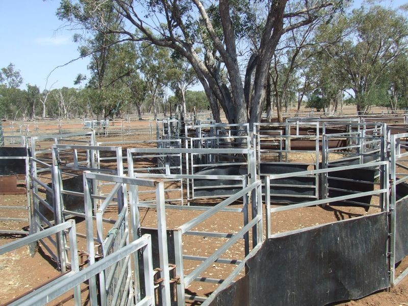 Dirranbandi QLD 4486