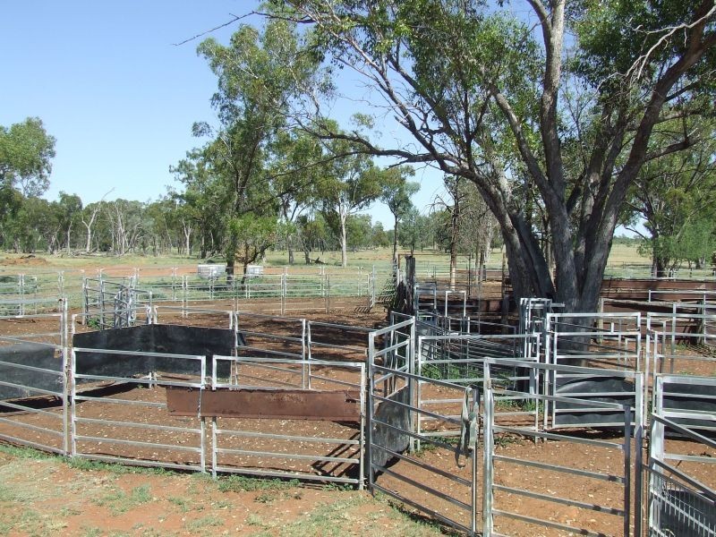 Dirranbandi QLD 4486