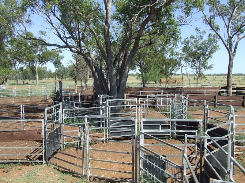 Dirranbandi QLD 4486