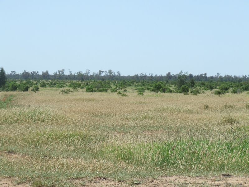 Dirranbandi QLD 4486