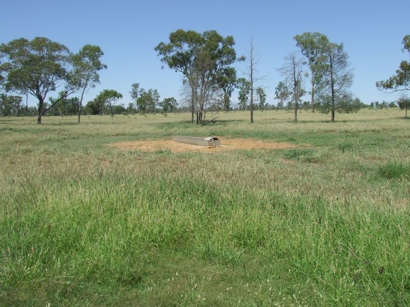 Dirranbandi QLD 4486