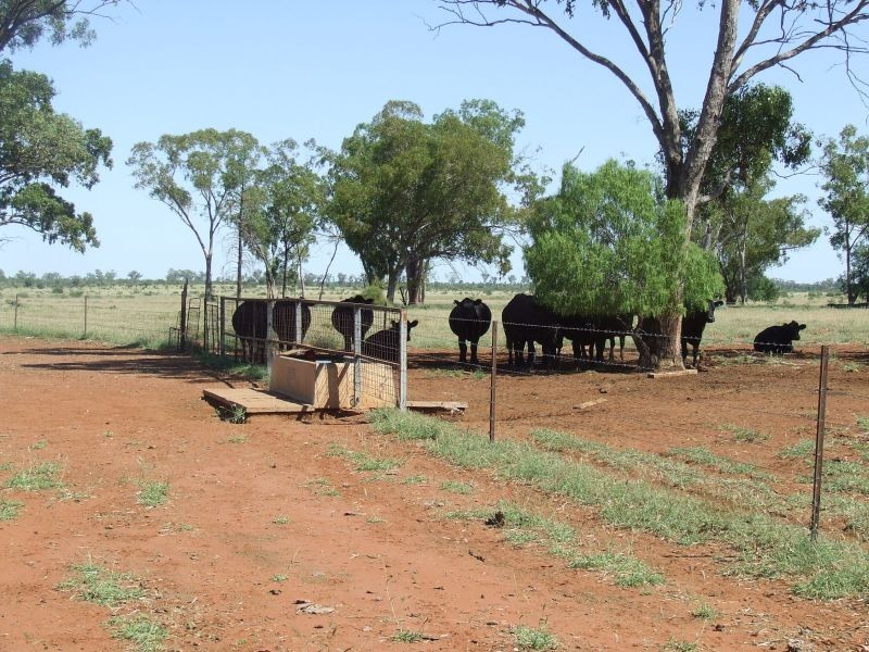 Dirranbandi QLD 4486