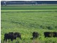 00 Roseneath, Dalby via, Goondiwindi QLD 4390