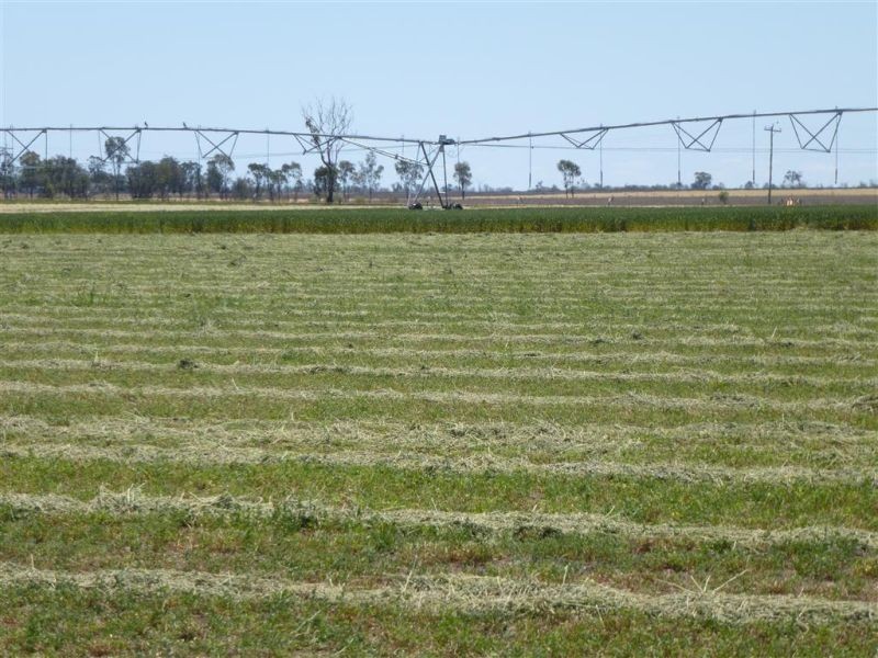 00 Roseneath, Dalby via, Goondiwindi QLD 4390