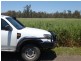 00 Roseneath, Dalby via, Goondiwindi QLD 4390