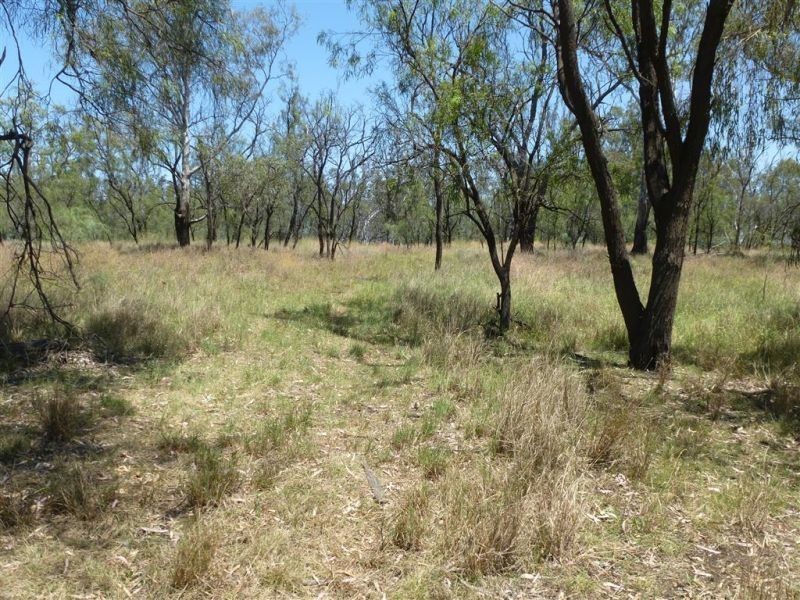 00 Roseneath, Dalby via, Goondiwindi QLD 4390