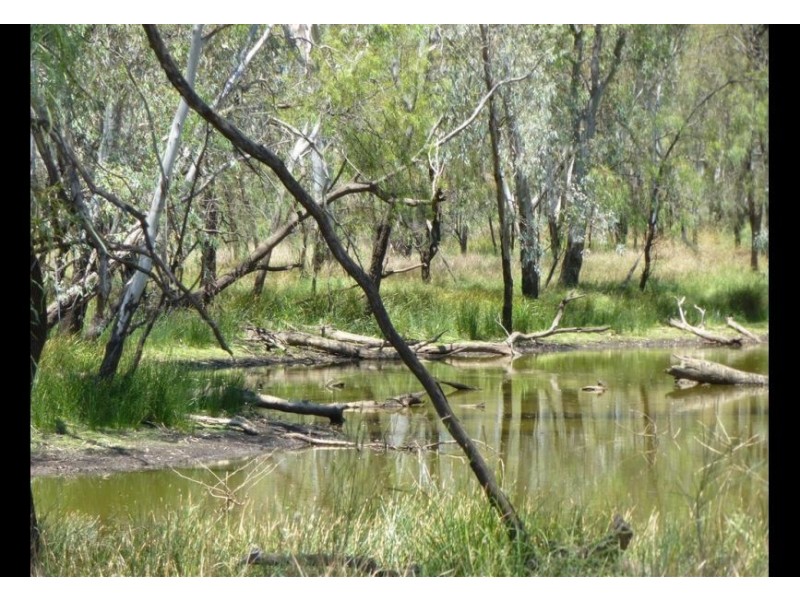 00 Roseneath, Dalby via, Goondiwindi QLD 4390