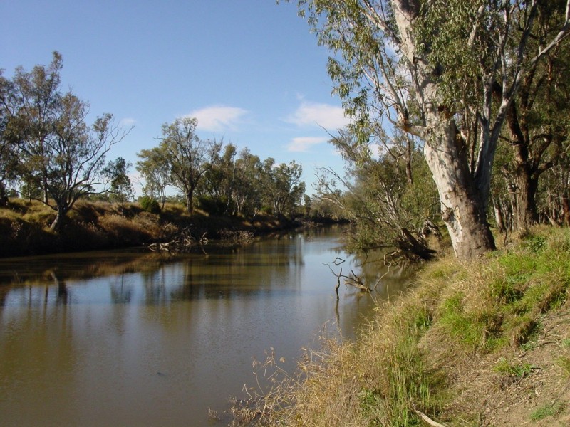 Goondiwindi QLD 4390