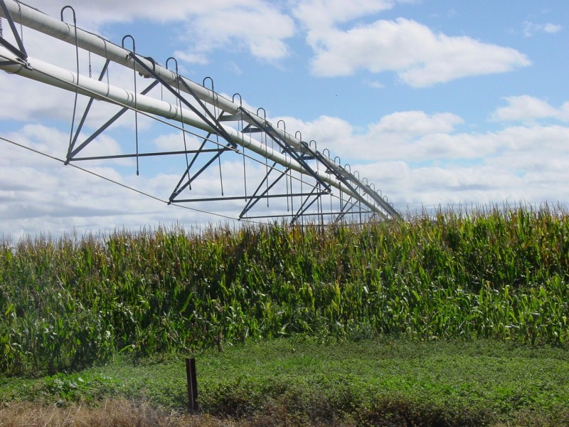 Goondiwindi QLD 4390