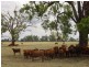 Goondiwindi QLD 4390