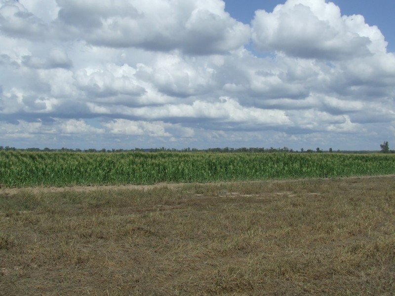 Goondiwindi QLD 4390